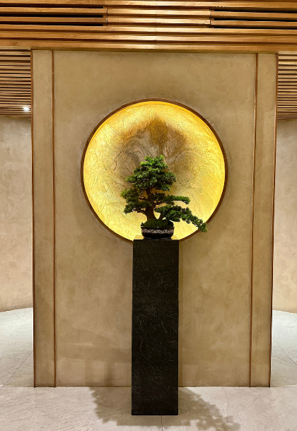 Concept & Identité de lieu