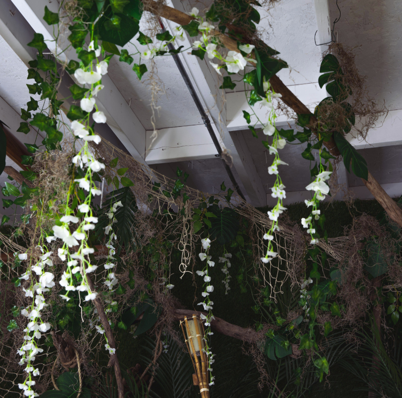 Scénographie & Mise en valeur